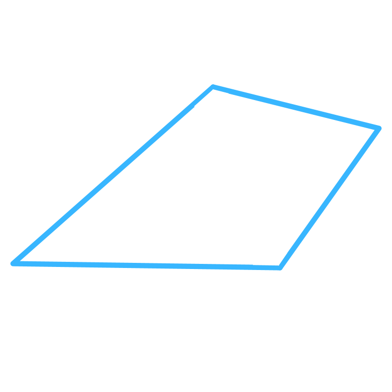 Kite